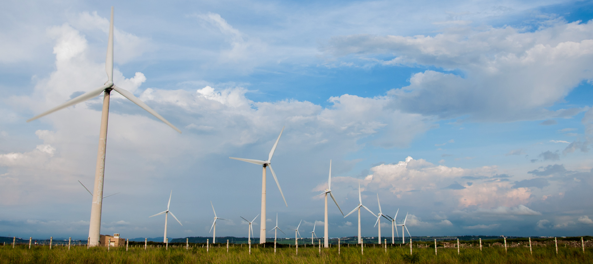 ENVIRONMENTAL STEWARDSHIP GEEHOO